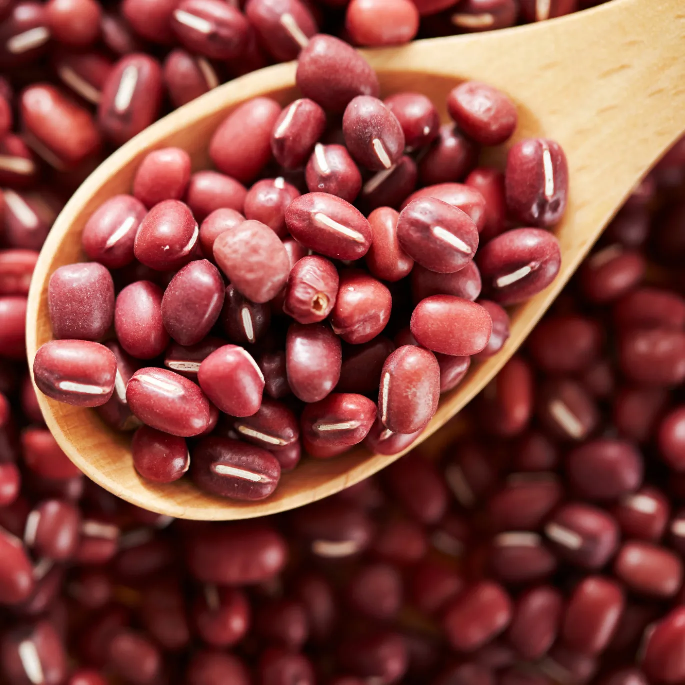 Adzuki bönor EKO 500g