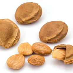 Aprikoskärnor Söta EKO 500g