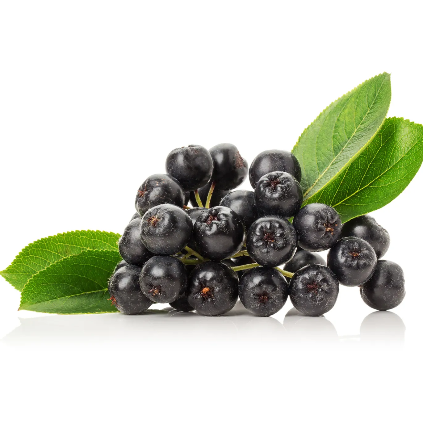 Aronia Pulver EKO 125g