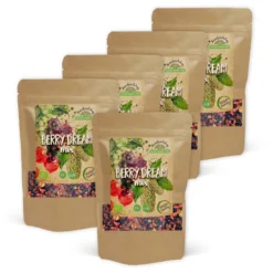 Berry Dream Mix EKO 1kg x 5 paket