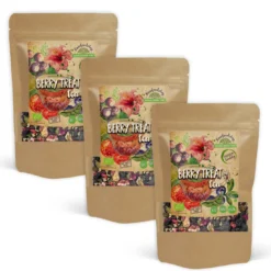 Berry Treat Te EKO 100g x 3 paket