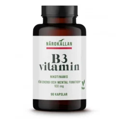 B3 Nikotinamid 100mg 90kaps