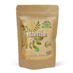 Boswellia Extract 500mg 60 kapslar