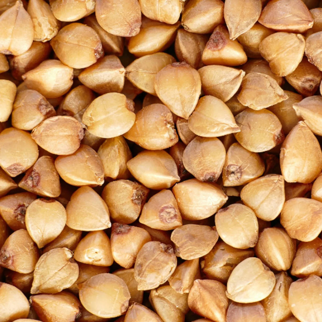 Bovete EKO 500g
