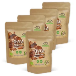 Chaga Extract EKO 400mg 60 kapslar x 5 paket