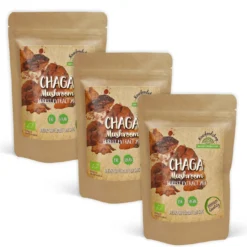 Chaga Extract EKO 400mg 60 kapslar x 3 paket
