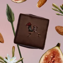 Choklad Salta Fikon & Mandel EKO 20g