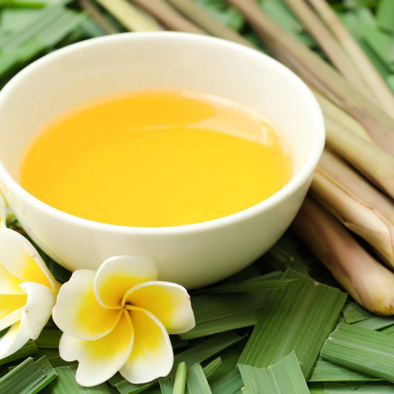 Citronella Eterisk Olja 50 ml