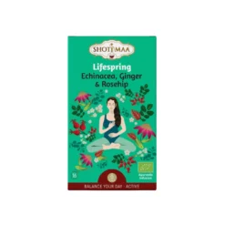 Echinacea, Ingefära & Nypon Örtte EKO 16 x 2g