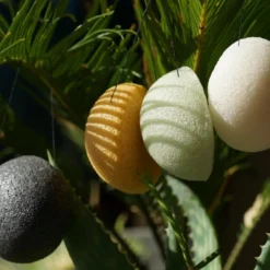 EKO Konjak Svamp Naturlig