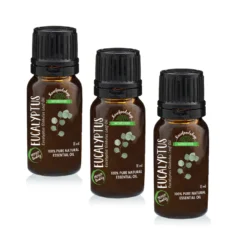 Eukalyptus Eterisk Olja 10ml x 3 flaskor