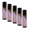 Excitement Parfymolja 10ml x 5 st