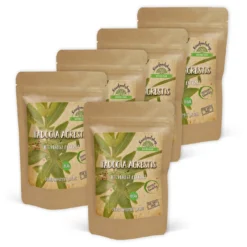 Fadogia Agrestis Extract 500mg 60 kapslar x 5 paket