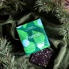 Forest Choklad 70% 48g