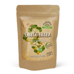 Ginkgo Biloba Extract 120mg 60 kapslar