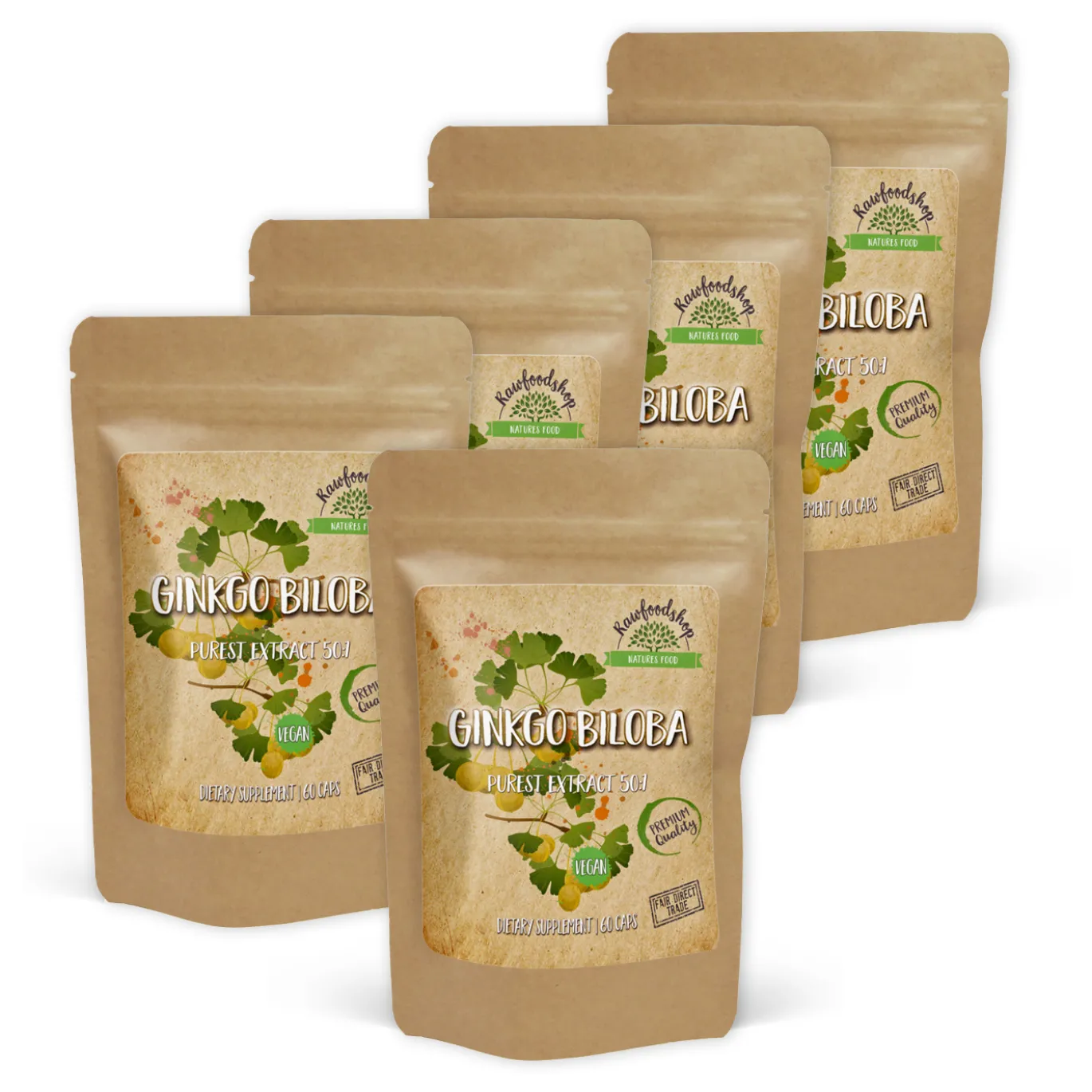 Ginkgo Biloba Extract 120mg 60 kapslar x 5 paket
