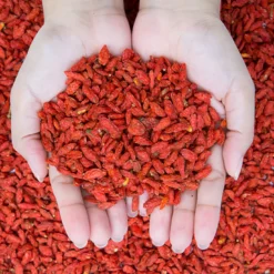 Gojibär EKO 500g