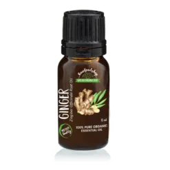 Ingefära Eterisk Olja EKO 10ml