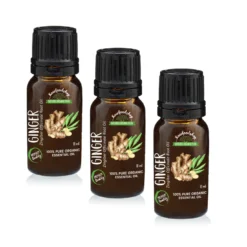 Ingefära Eterisk Olja EKO 10ml x 3 flaskor