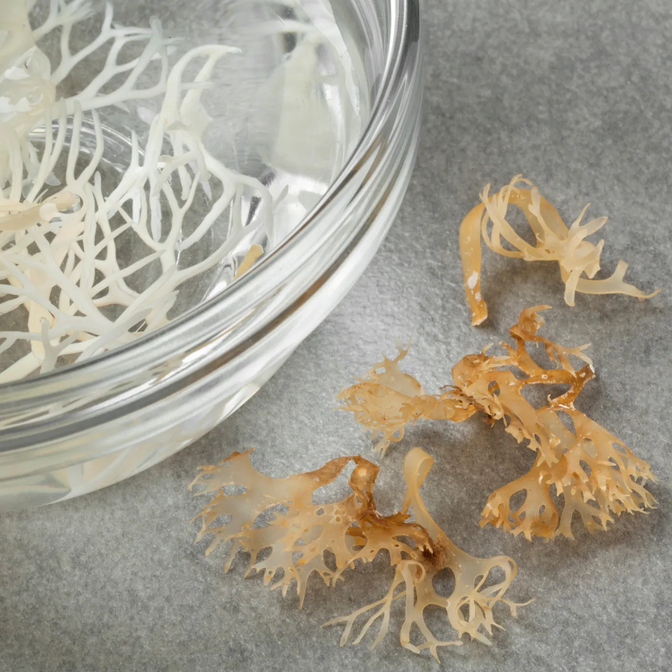 Irish Moss EKO 125g