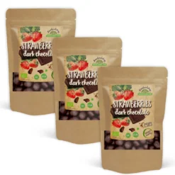 Jordgubbar i Mörk Choklad EKO 100g x 3 paket