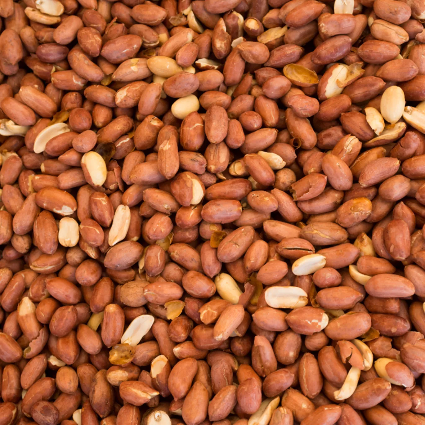 Jordnötter Premium RAW EKO 1kg
