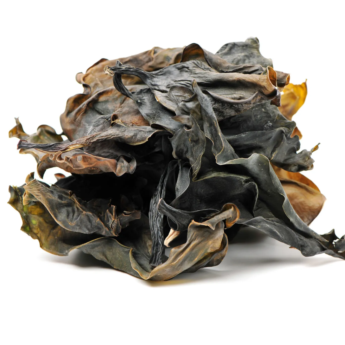 Kelp Pulver EKO 250g