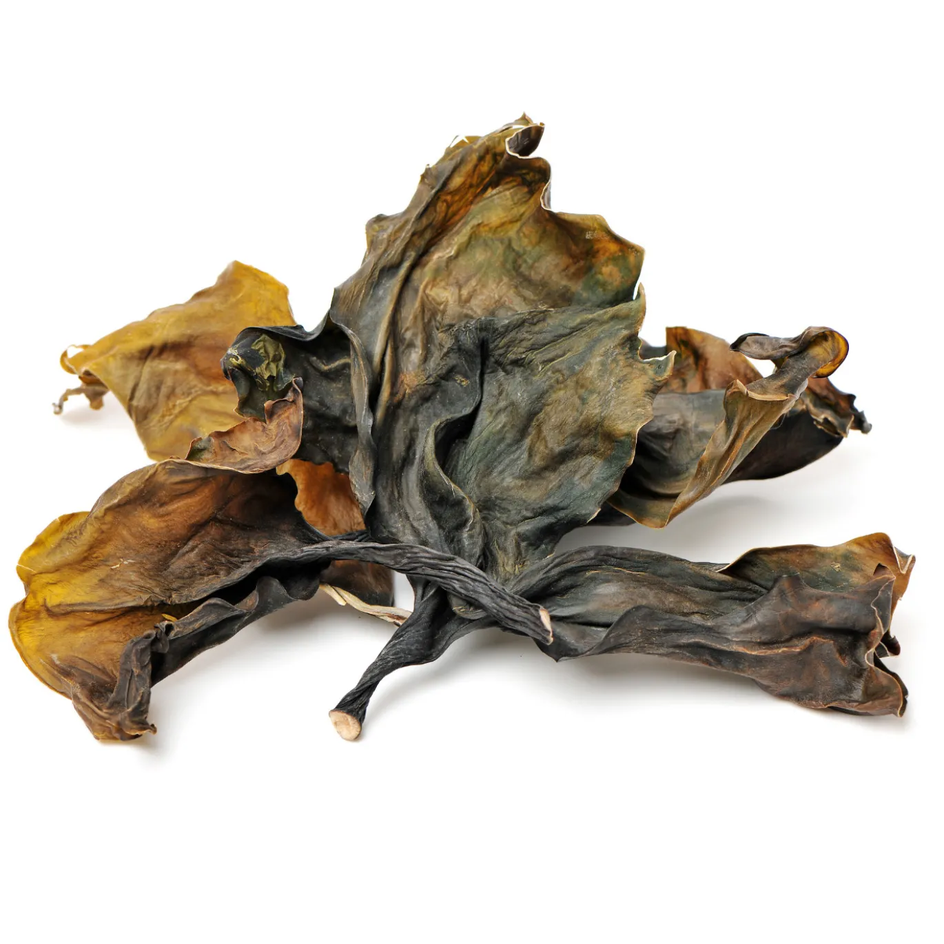 Kelp Pulver 125g