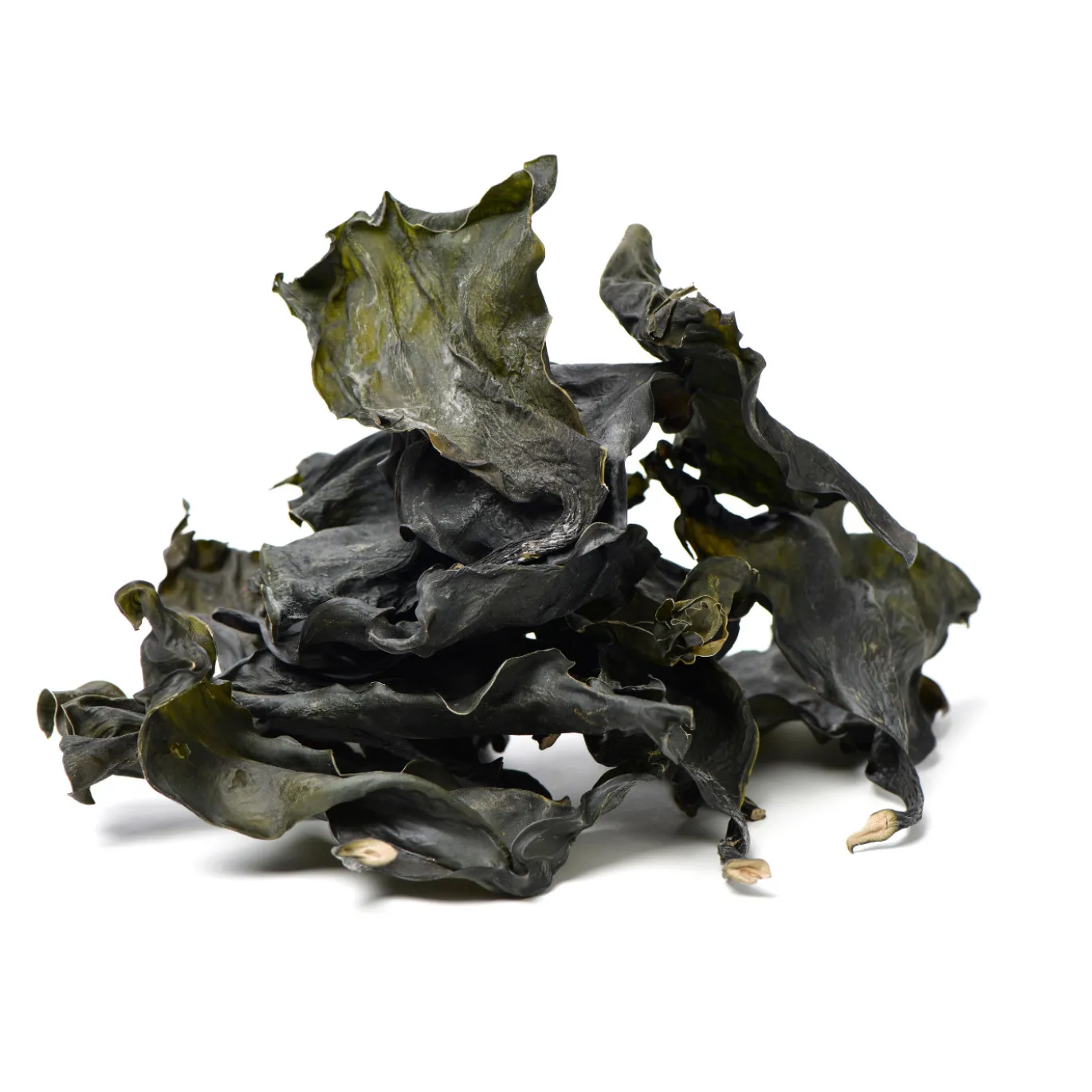 Kelp Pulver 250g