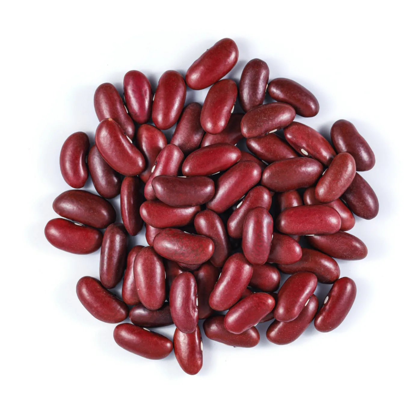 Kidneybönor Röda EKO 500g
