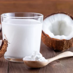 Kokosmjölk Pulver EKO 100g