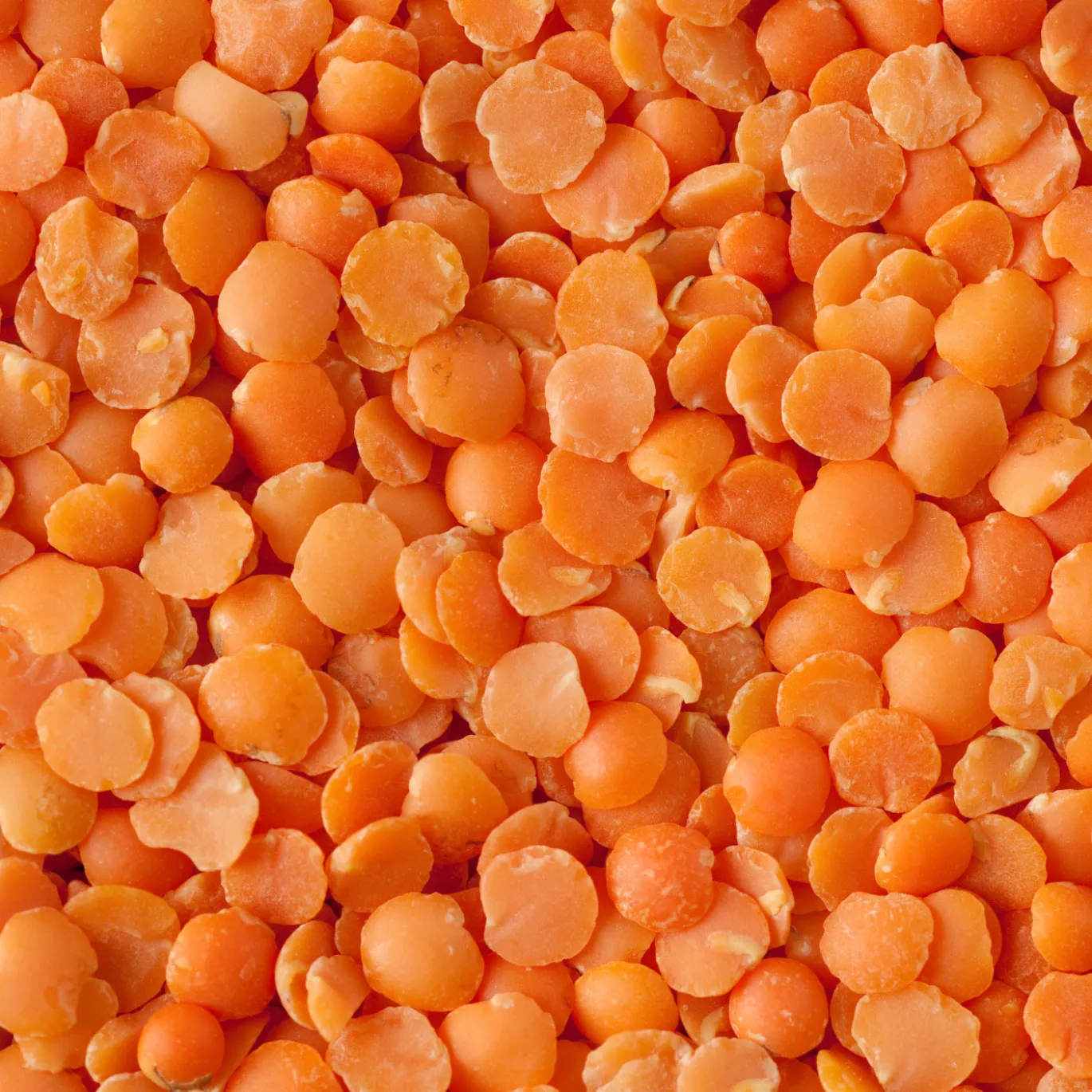 Linser Röda EKO 1kg