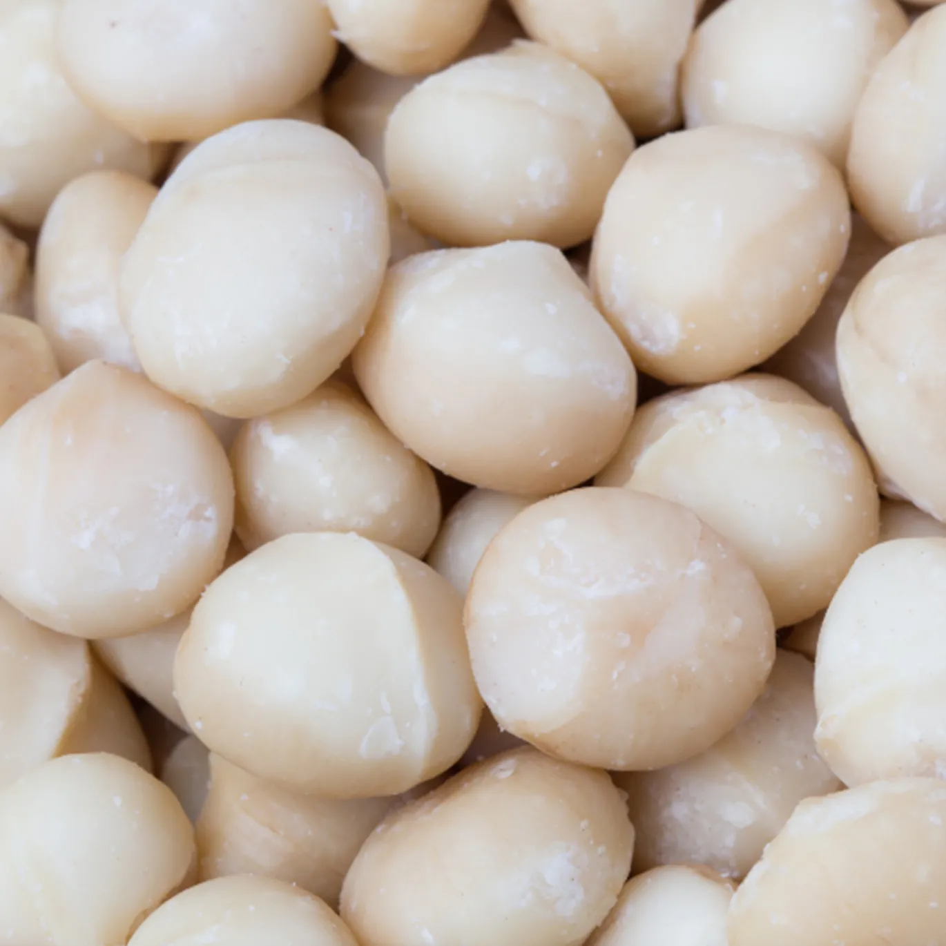 Macadamianötter Premium RAW EKO 500g