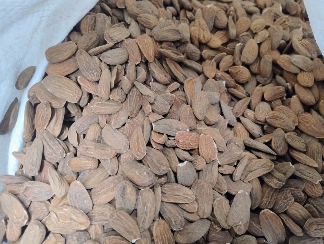 Mandel Premium RAW EKO 500g