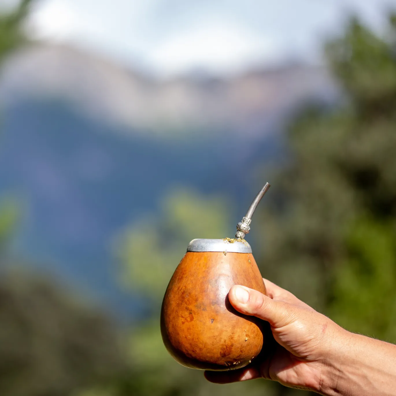 Maté Guarana Te 50g