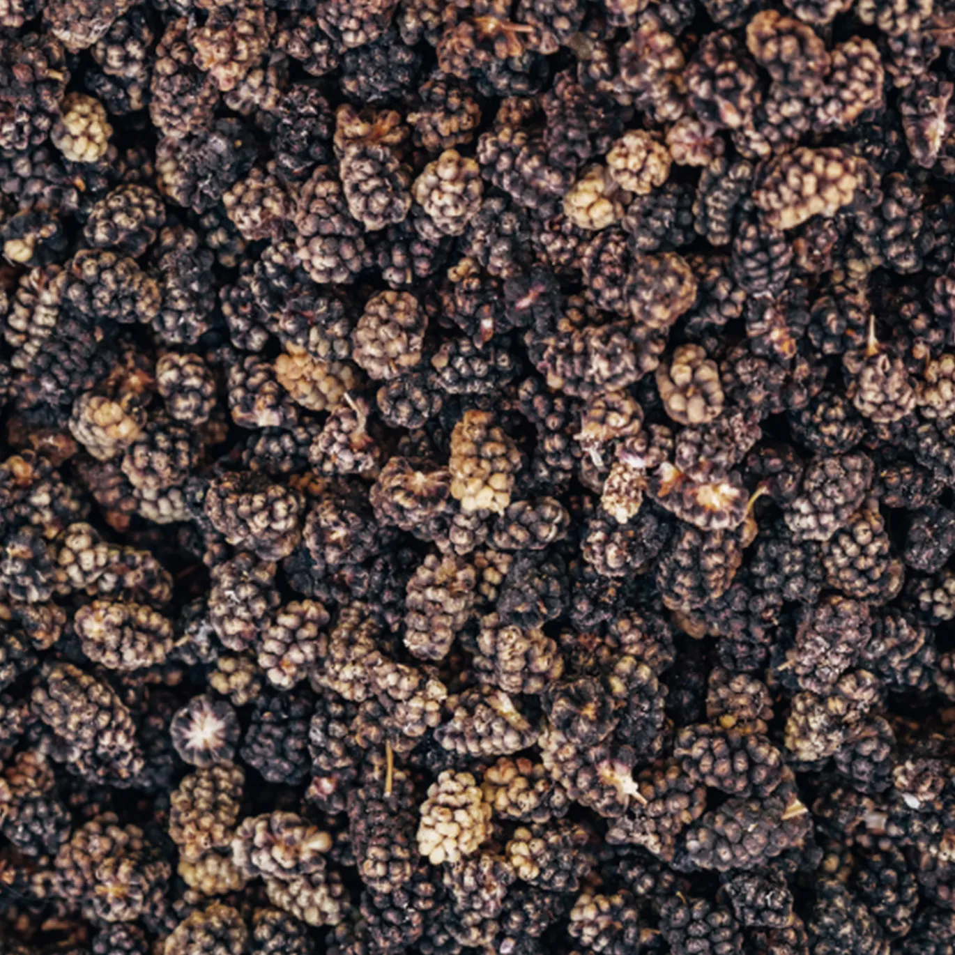 Mullbär Svarta EKO 500g
