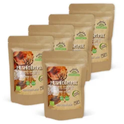 Mushroom mix Extract EKO 400mg 60 kapslarx 5 paket