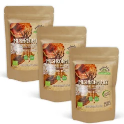 Mushroom mix Extract EKO 400mg 60 kapslar x 3 paket