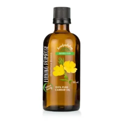 Nattljusolja 100ml
