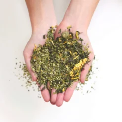 Pepparmynta Maté Te EKO 70g