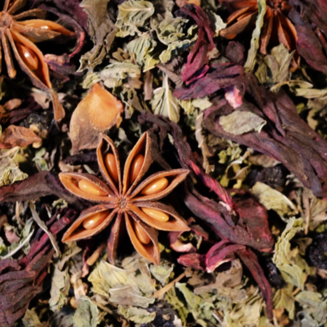 Plant Cocktail Fantasy EKO 60g