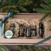 Presentbox DIY Ansiktsserum