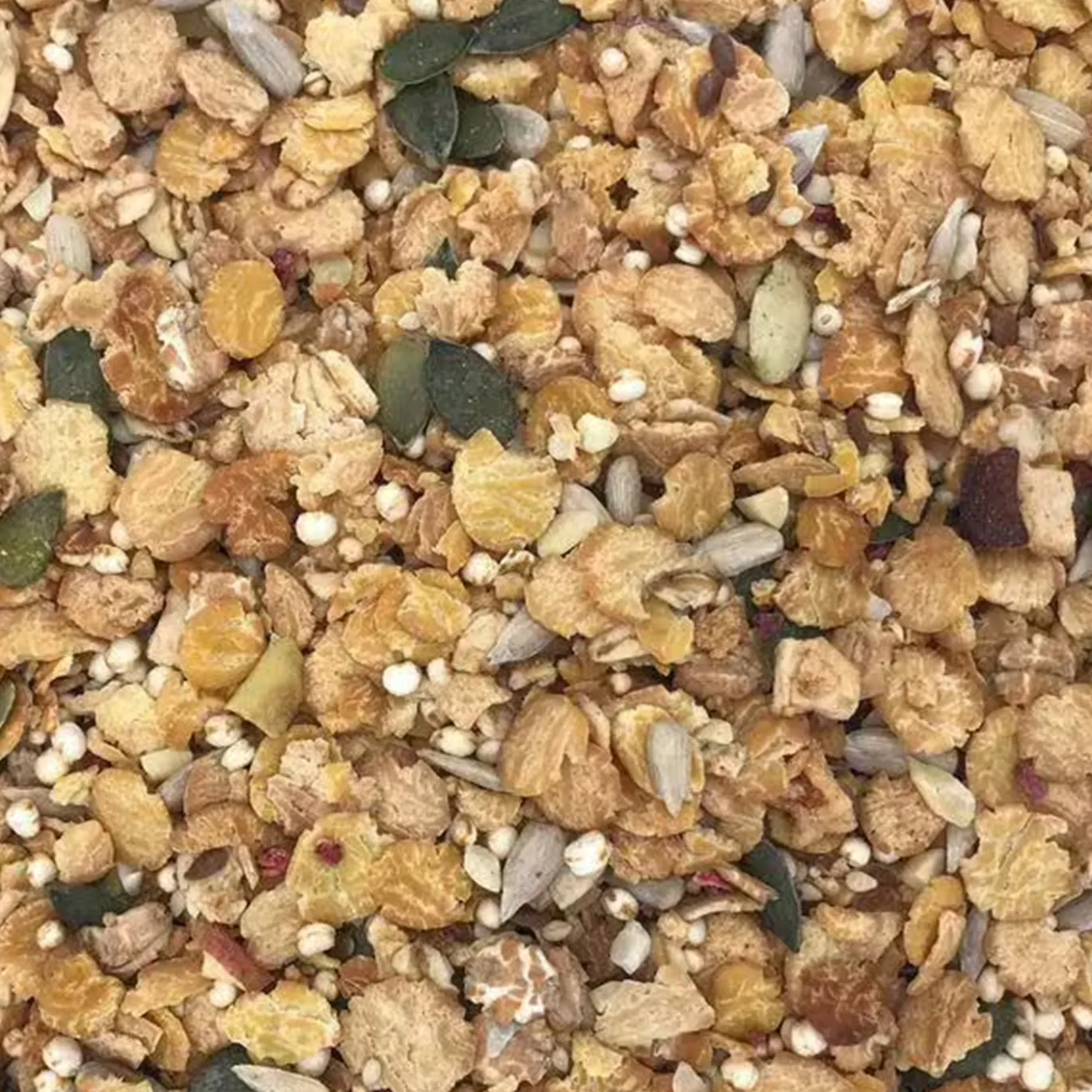 Protein Musli EKO 400g