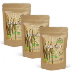 Psyllium EKO 500mg 60 kapslar x 3 paket