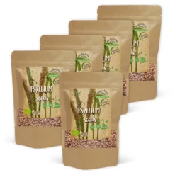 Psyllium Frön EKO 300g x 5 paket