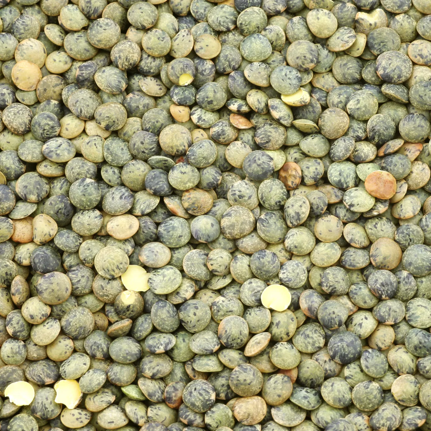Puylinser Gröna EKO 500g