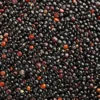 Quinoa Svart EKO 1kg