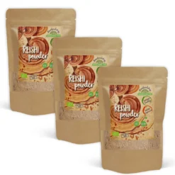 Reishi Mushroom Pulver EKO 125g x 3 paket