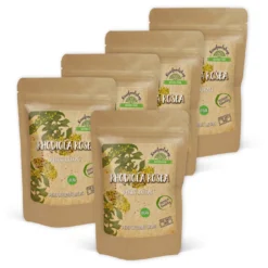 Rhodiola Rosea Extract 500mg 60 kapslar x 5 paket