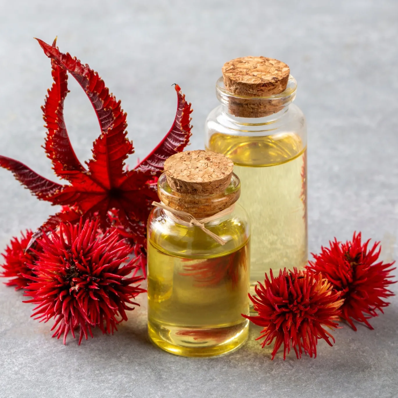 Ricinolja kallpressad EKO 50ml
